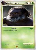 Whisker Harry