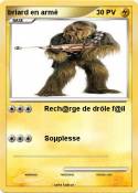 briard en armé