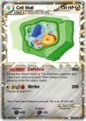 Cell Wall