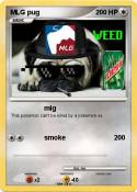 MLG pug