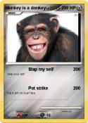 Monkey is a