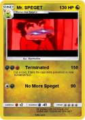 Mr. SPEGET