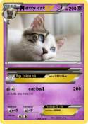 kitty cat
