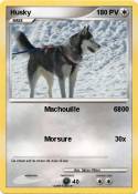 Husky