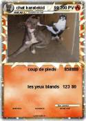 chat karatekid