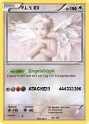 F.L.Y. EX