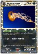 Bigatueur rare