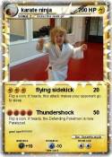 karate ninja