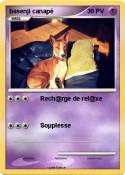 basenji canapé