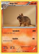 degu fire