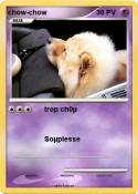 chow-chow