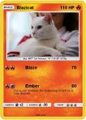 Blazicat