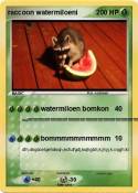 raccoon watermi