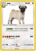 pug