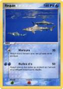 Requin