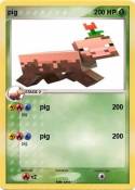 pig