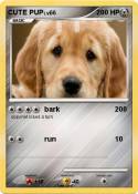 CUTE PUP