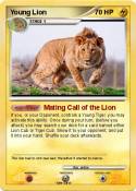 Young Lion