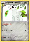 pegacorn Chris