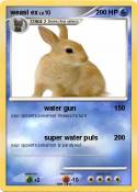 weasl ex