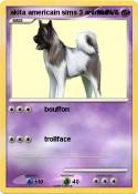 akita americain
