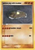 guinea pig with