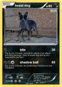 beast dog