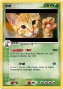 chat