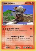 chien defoncer