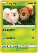 Lang dog