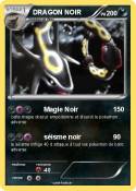 DRAGON NOIR