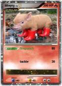 littepig