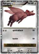 flyingpig