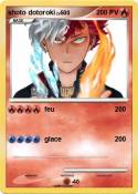 shoto dotoroki