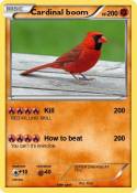 Cardinal boom