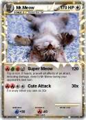 Mr.Meow