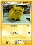 catichu