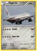 Flight 370