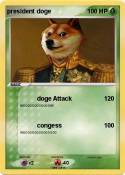 president doge