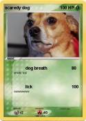 scaredy dog