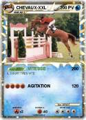 CHEVAUX-XXL