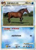 CHEVAUX-XS