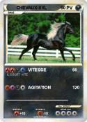 CHEVAUX-XXL