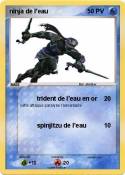 ninja de l'eau