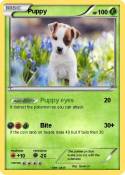 Puppy