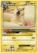 Doge