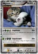 Mignons