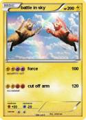 battle in sky