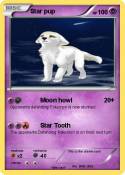 Star pup
