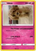 Willow
